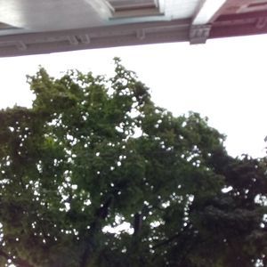 Meet your Posher, Janice